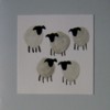 5 Sheep on Pale Grey