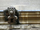 Gargoyle